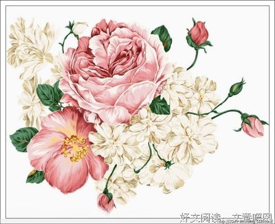 《梦》经典名句
