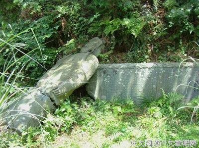 《九棺》经典语录大全