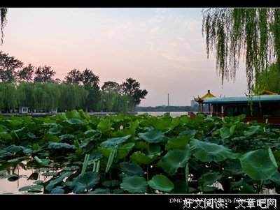 关于夏景的名句摘抄