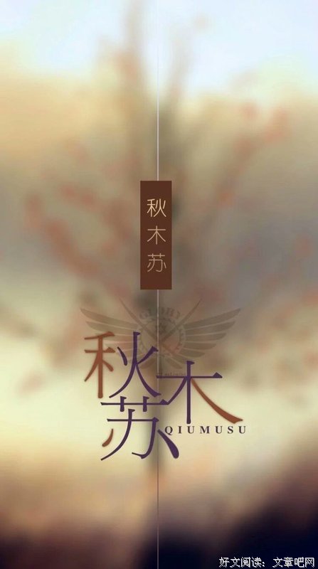 关于秋木苏的格言