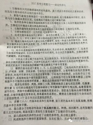 关于my句集的句子