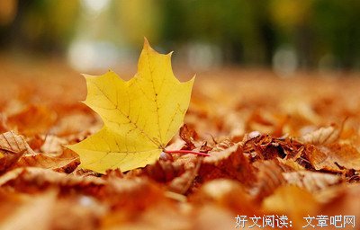 之任每为喜欢优美的句子