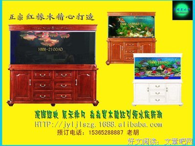 关于森森的优美句子