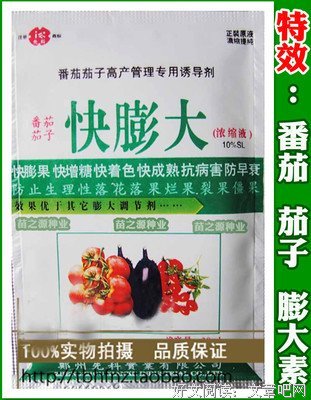 肥茄子名言大全