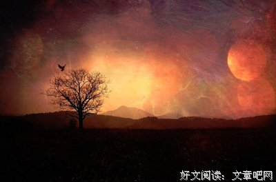 最经典的《歌词》经典名句