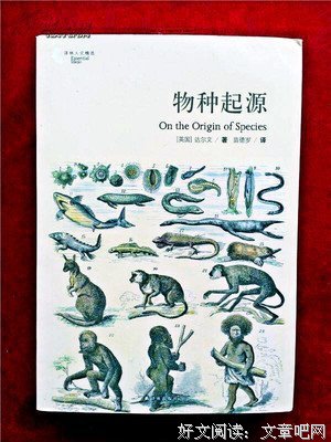 最新的《百度》语录摘抄
