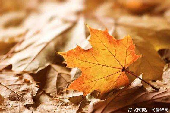 人生最不该信的是，吃亏是福 