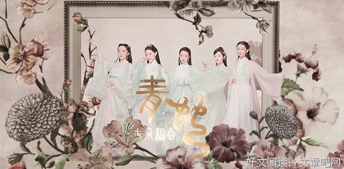 关于七朵的语句