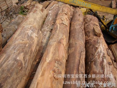 关于格木的格言