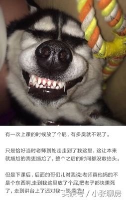 给父亲的一封信