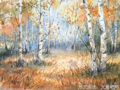 同.情经典的句子
