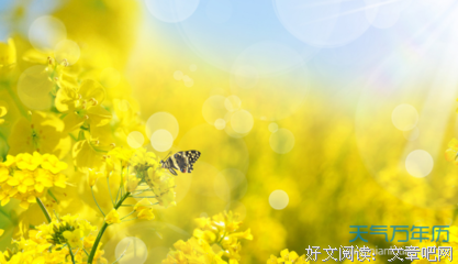 唯美优美的句子