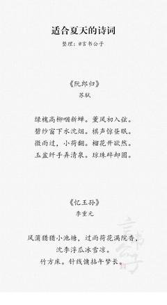 诗词美句