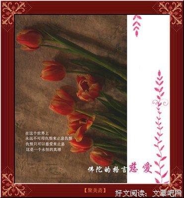 关于佛陀名言大全