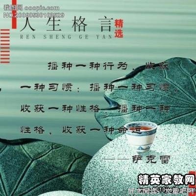 最全的凤轻的格言