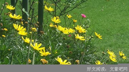 关于叶笑名言