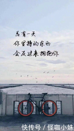 《迷雾》经典句子