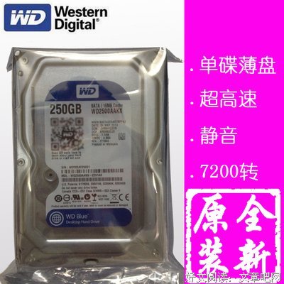 《骨音》经典语句