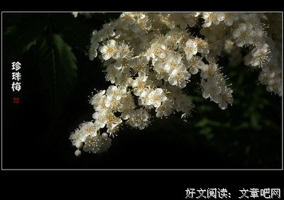 最经典的《Doctors》经典名句
