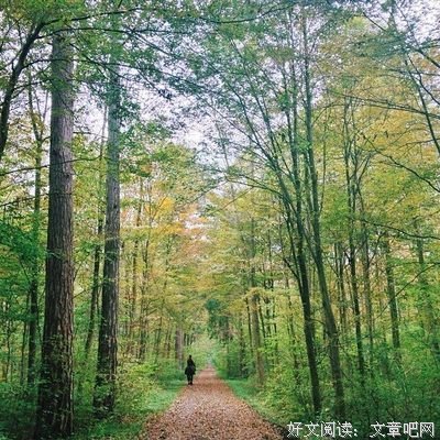 《十句话》经典句子