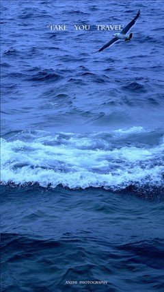 最新的《四幕戏》经典句子