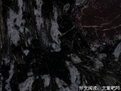 最新的《夜玫瑰》经典的句子