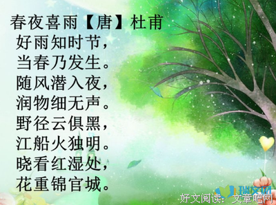 《大泼猴》小说摘抄大全