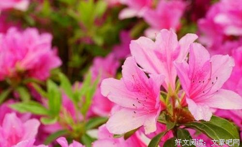 一个人熬过所有的苦，我终于学会了坚强 
