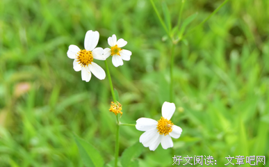 十二星座眼中的自己