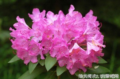 缘经典的句子