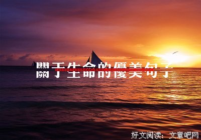 关于主事风自己准备的小说素材的优美句子