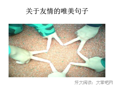 《友情》的句子