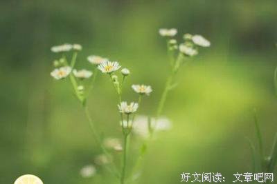 莫峻名言名句