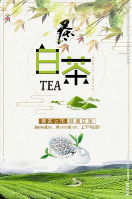 白茶名言