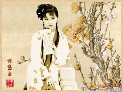 最经典的《红楼梦》小说句子