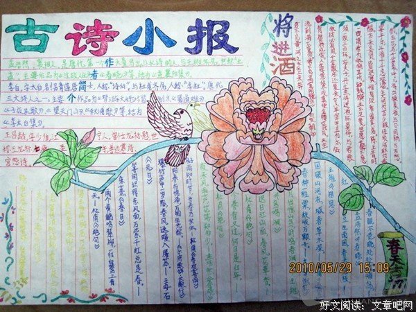 最新的《蝶恋花》语录摘抄