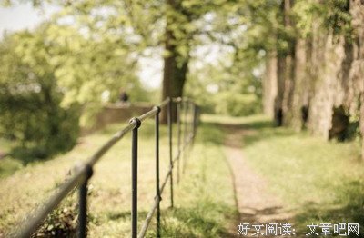 最经典的《一树人生》小说摘抄