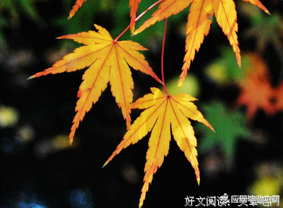 最新的《人生感悟》经典的句子大全