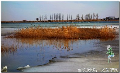 最全的《人间草木》经典名句大全