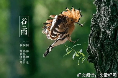 桃花坠，春欲归，怕你错过我的美
