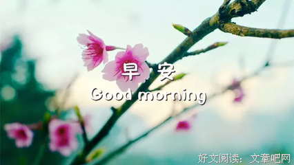 邂逅相遇，与子偕臧。优美的句子