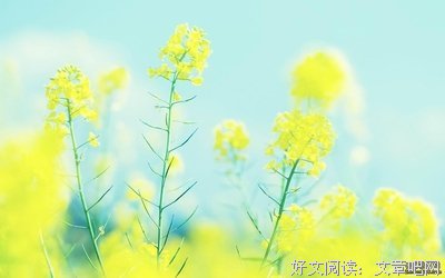 友谊优美的句子