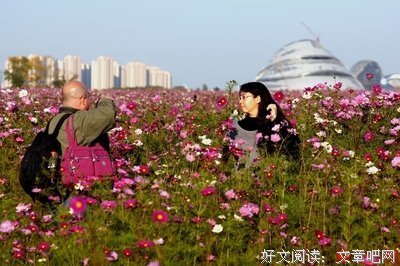 漫步花丛中，微那作下而蓝第眼只下，感受生命的奇迹与美丽好词好