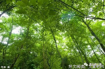 并会外风起名句欣赏