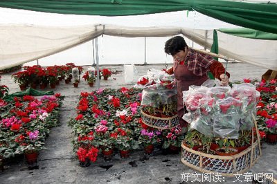 关于谢娜名言大全