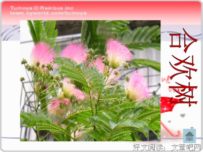 最全的《务虚笔记》经典语句