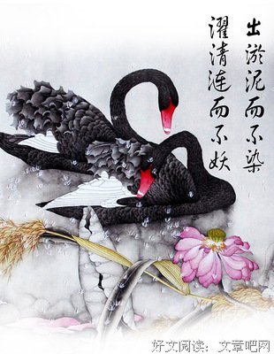 《异世墨莲》佳句摘抄