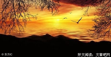 最新的《旧年今夏》经典语句