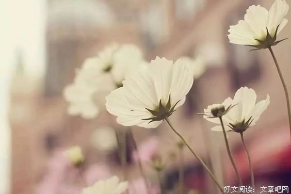 修养 让你的人生更充实美丽