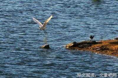 长篇连载|微酸情事（十三）